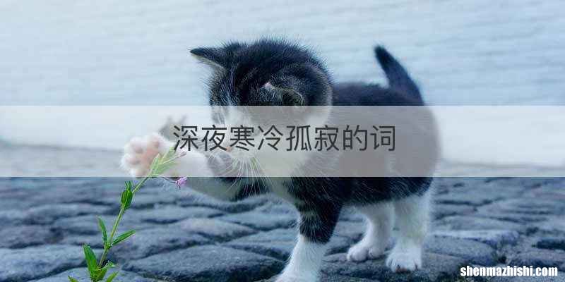 深夜寒冷孤寂的词