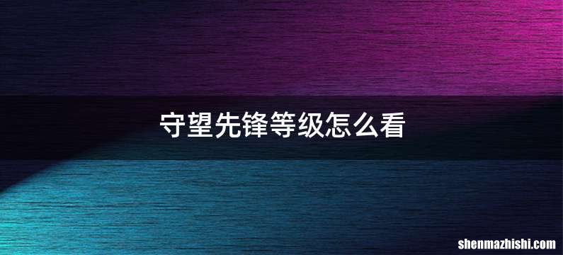 守望先锋等级怎么看