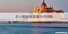 无人机水稻直播技术详解