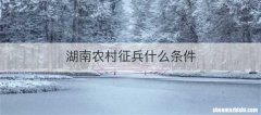 湖南农村征兵什么条件