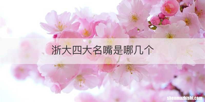 浙大四大名嘴是哪几个