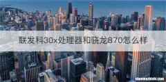 联发科30x处理器和骁龙870怎么样