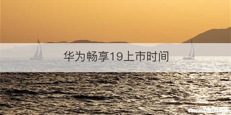 华为畅享19上市时间