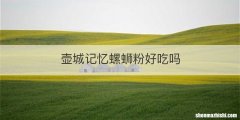 壶城记忆螺蛳粉好吃吗