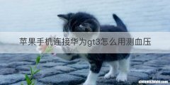 苹果手机连接华为gt3怎么用测血压