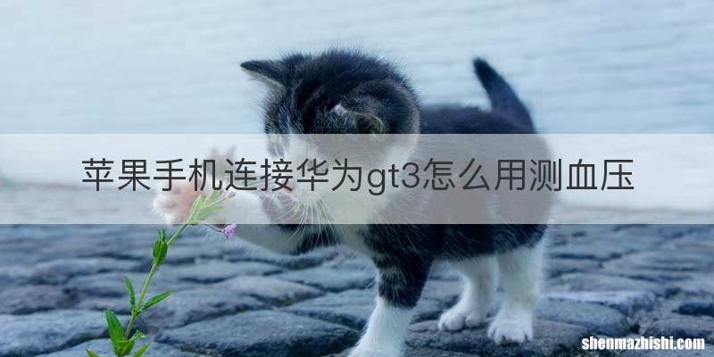 苹果手机连接华为gt3怎么用测血压