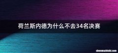 荷兰斯内德为什么不去34名决赛