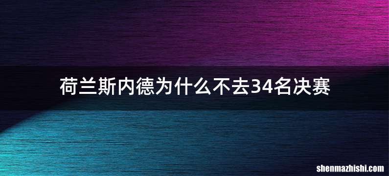 荷兰斯内德为什么不去34名决赛