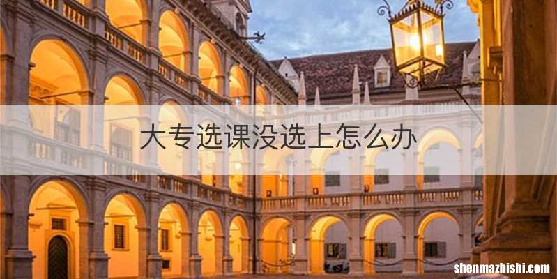 大专选课没选上怎么办