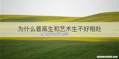 为什么普高生和艺术生不好相处