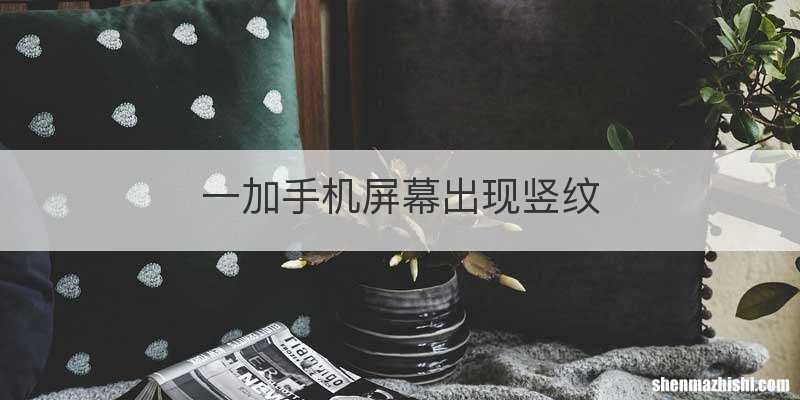 一加手机屏幕出现竖纹