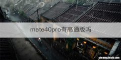mate40pro有高通版吗