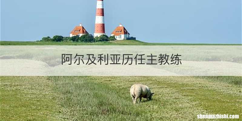 阿尔及利亚历任主教练