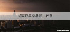 湖南哪里有马蜂比较多