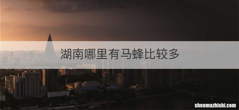 湖南哪里有马蜂比较多