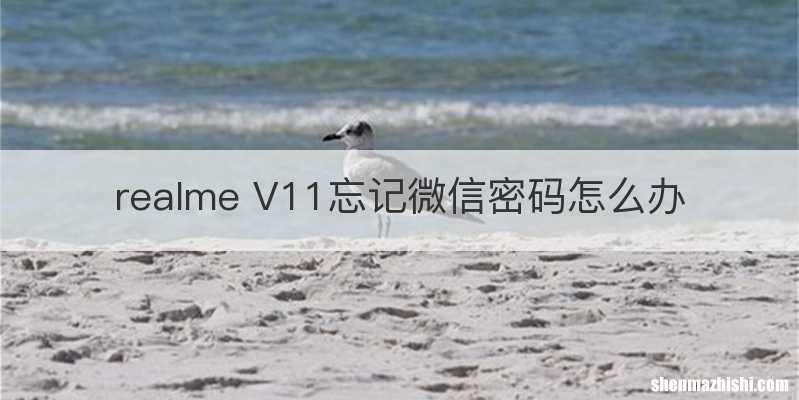 realme V11忘记微信密码怎么办