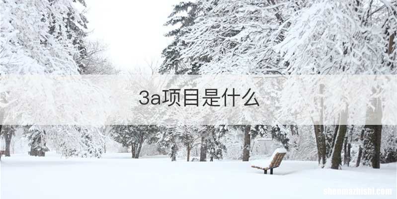 3a项目是什么