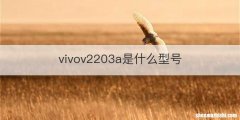vivov2203a是什么型号