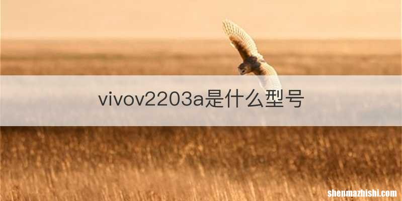 vivov2203a是什么型号