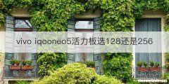 vivo iqooneo5活力板选128还是256