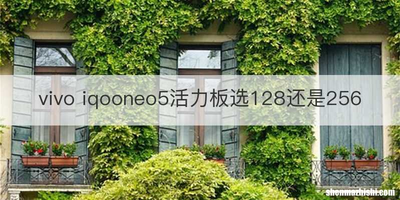 vivo iqooneo5活力板选128还是256