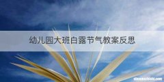 幼儿园大班白露节气教案反思