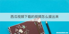 西瓜视频下载的视频怎么提出来