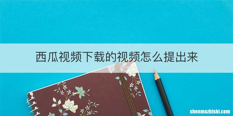 西瓜视频下载的视频怎么提出来