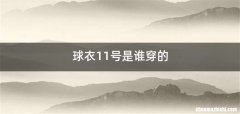 球衣11号是谁穿的