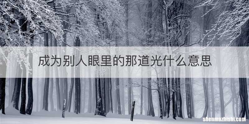成为别人眼里的那道光什么意思