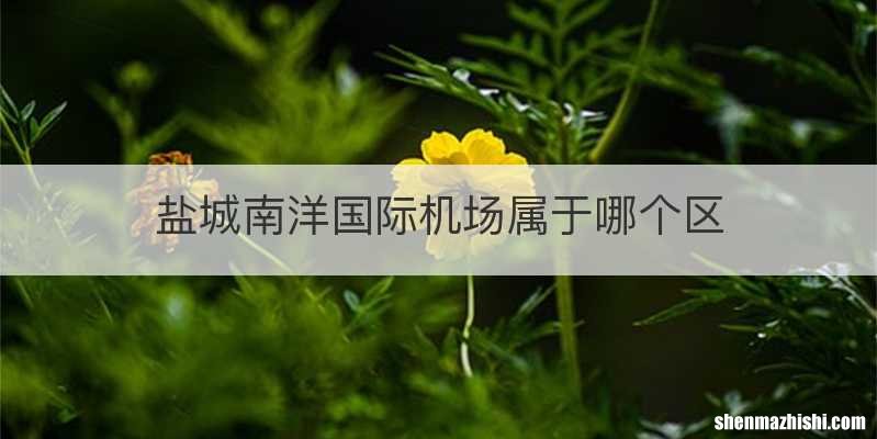 盐城南洋国际机场属于哪个区