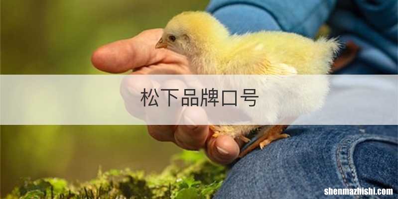 松下品牌口号