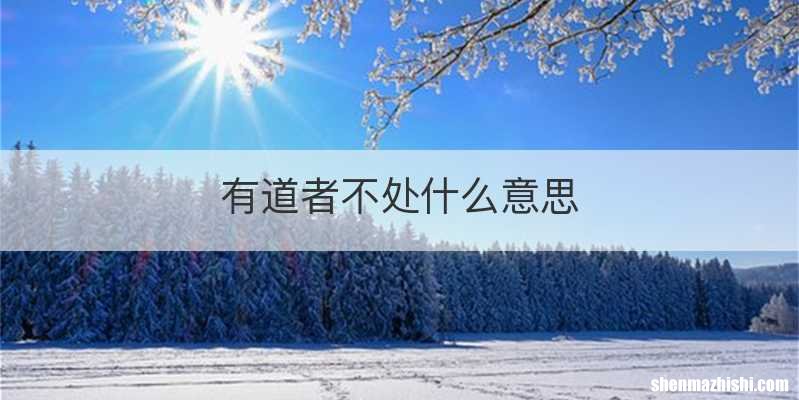 有道者不处什么意思