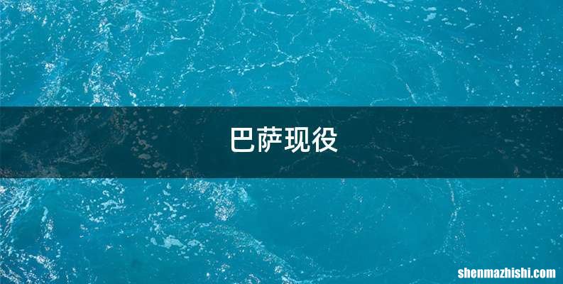 巴萨现役