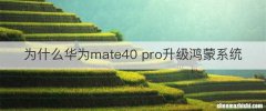 为什么华为mate40 pro升级鸿蒙系统