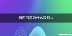 梅西当年为什么踢别人