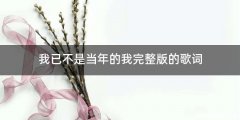 我已不是当年的我完整版的歌词