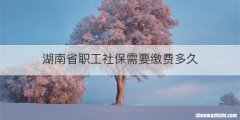 湖南省职工社保需要缴费多久