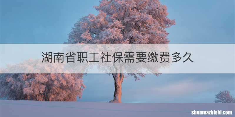 湖南省职工社保需要缴费多久