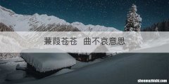蒹葭苍苍曲不哀意思