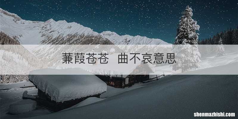 蒹葭苍苍曲不哀意思