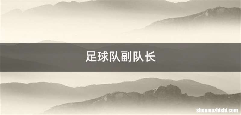 足球队副队长