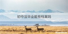 追风筝的人索拉博结局