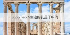iqoo neo 5侧边的孔是干嘛的