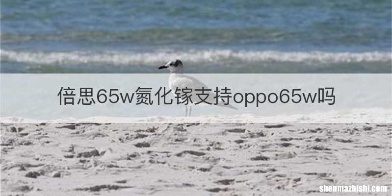 倍思65w氮化镓支持oppo65w吗