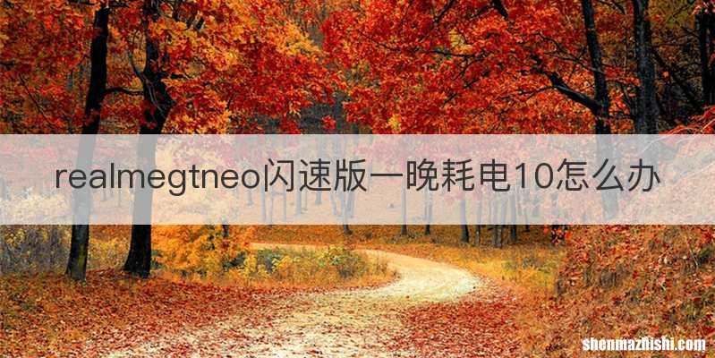 realmegtneo闪速版一晚耗电10怎么办