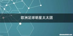 欧洲足球明星太太团