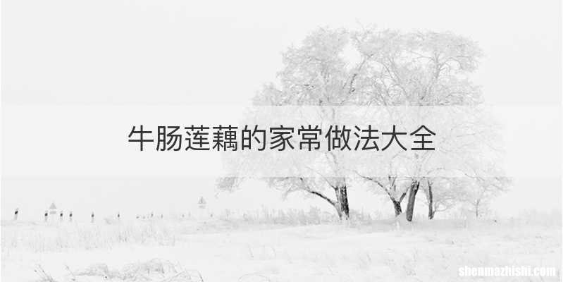 牛肠莲藕的家常做法大全
