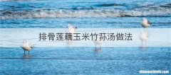 排骨莲藕玉米竹荪汤做法