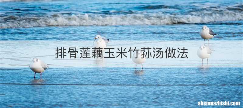 排骨莲藕玉米竹荪汤做法